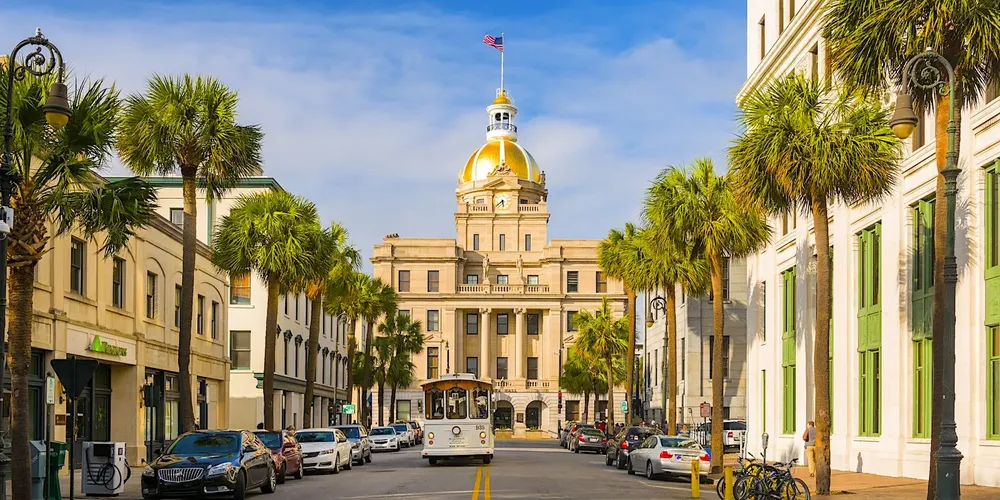 Savannah